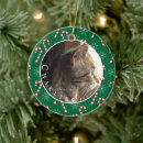 Suche nach cat ornamente Grün