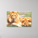 Suche nach afrikanischer löwe leinwandbilder Paar