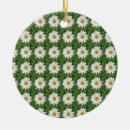 Suche nach daisy ornamente Blume