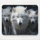 Suche nach wilder wolf mousepads Wildnis