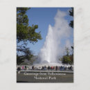 Suche nach yellowstone nationalpark Geysir