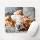 Suche nach cute animals mousepads Puppy