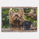 Suche nach yorkshire terrier decken Jede person