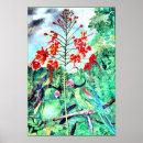 Suche nach parakeet poster Tropisch