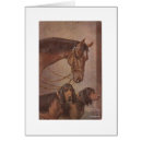 Suche nach jagdhunde postkarten Pferd