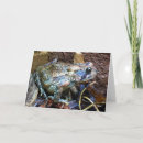 Suche nach toad karten Kröte