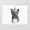 Suche nach birthday party postkarten Für alle