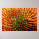 Suche nach orange halloween poster Blume