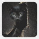 Suche nach hauskatze aufkleber Schwarzkatze