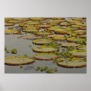 Suche nach victoria kunst Blume