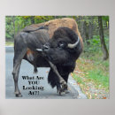 Suche nach stier poster Tiere