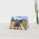 Suche nach hagen postkarten Pferden