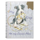 Suche nach pitbull Amerikanischer pitbullterrier