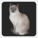 Suche nach maggi aufkleber Maggie ross hunde