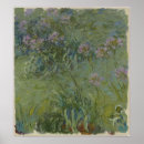 Suche nach agapanthus poster Monet