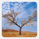 Suche nach afrika landschaft aufkleber Baum