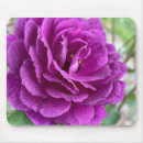 Suche nach lila rose mousepads Jede person