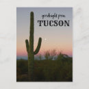 Suche nach tucson postkarten Fotografie