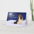 Suche nach sheltie karten Collie