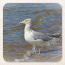 Suche nach seegras untersetzer Vogelvogel
