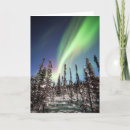 Suche nach denali nationalpark karten Winter
