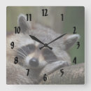 Suche nach waschbär wanduhren Für alle