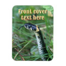 Suche nach reptilien karten Jede person