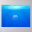Suche nach blaues meer poster Ozean