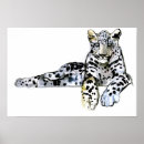 Suche nach pardus poster Kopf