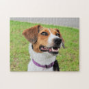 Suche nach beagles puzzle Kaninchen