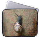 Suche nach schnecke laptop schutzhüllen Natur