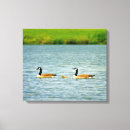 Suche nach gänse leinwandbilder Jede person