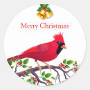 Suche nach kardinalsvogel Weihnachten