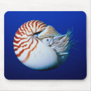 Suche nach nautilus muschel mousepads Ozean