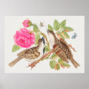 Suche nach taub kunst Natur