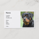 Suche nach rottweiler waren visitenkarten Hund