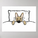 Suche nach bett poster Haustiere