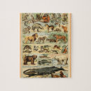 Suche nach säugetiere puzzle Wildtiere