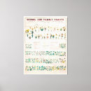 Suche nach botanik leinwandbilder Botanisch