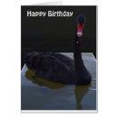 Suche nach schwarzer schwan karten Tierwelt