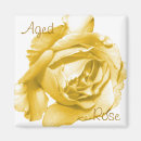 Suche nach gealtert magnete Rose