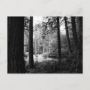 Suche nach sonnenlicht postkarten Wiese