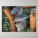 Suche nach niedlicher koala poster Für alle