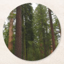 Suche nach tannenbaum untersetzer Bäume