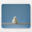 Suche nach sitz mousepads Vögel