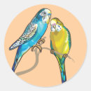 Suche nach australischer vogel aufkleber Für alle