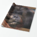 Suche nach orang utan geschenkpapier Affen