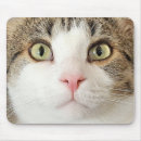 Suche nach katzengesicht mousepads Kitty