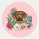 Suche nach rhodesian ridgebacks aufkleber Jede person
