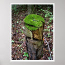 Suche nach baumstumpf poster Moos